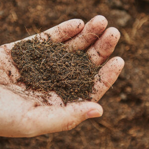 Geologia e Mecânica dos Solos