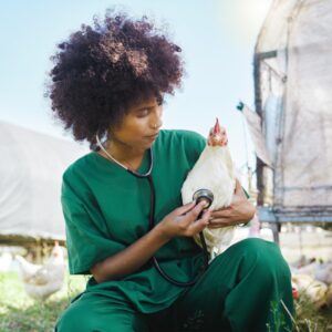 Análises Clínicas Veterinárias - Campus Liberdade