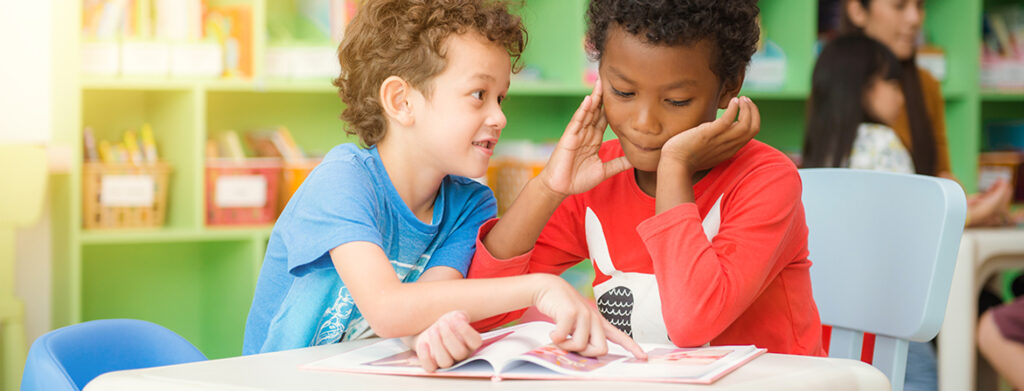 Biblioteca Escolar: Criação e Funcionamento