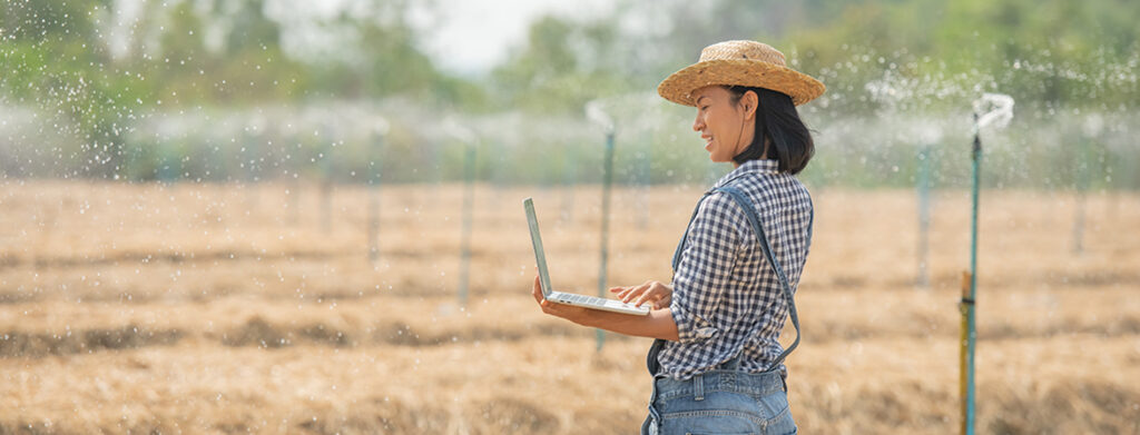 Comercialização de Produtos Agrícolas