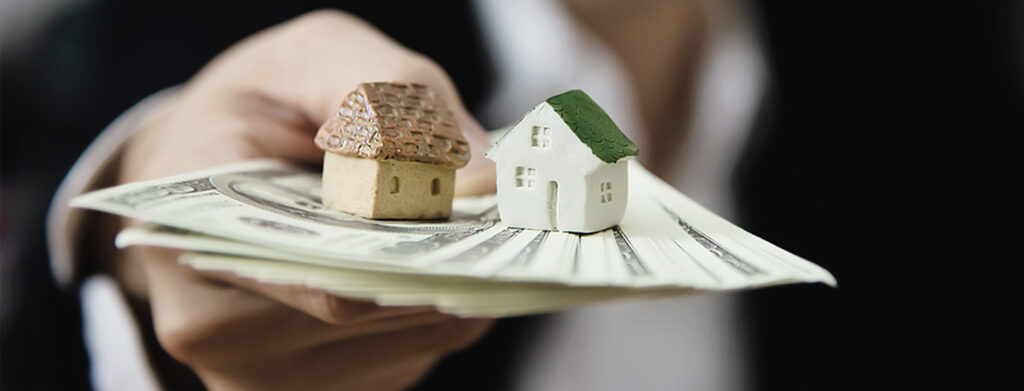 Economia Política e Social