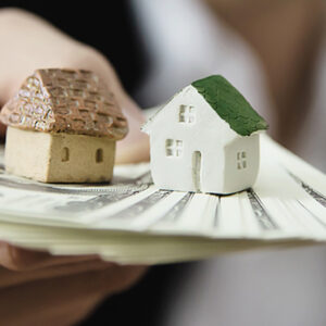 Economia Política e Social