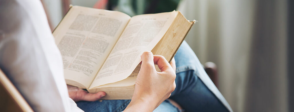 Estudos Linguísticos e Literários