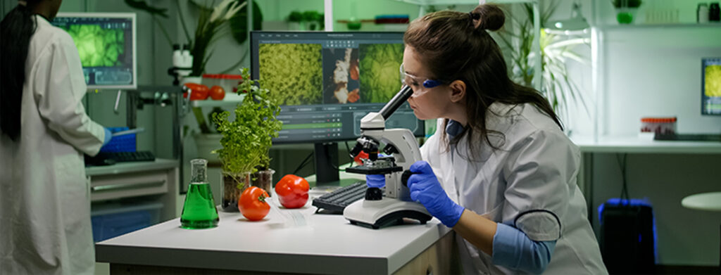 Cadeias Produtivas de Origem Vegetal