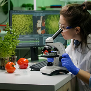 Cadeias Produtivas de Origem Vegetal