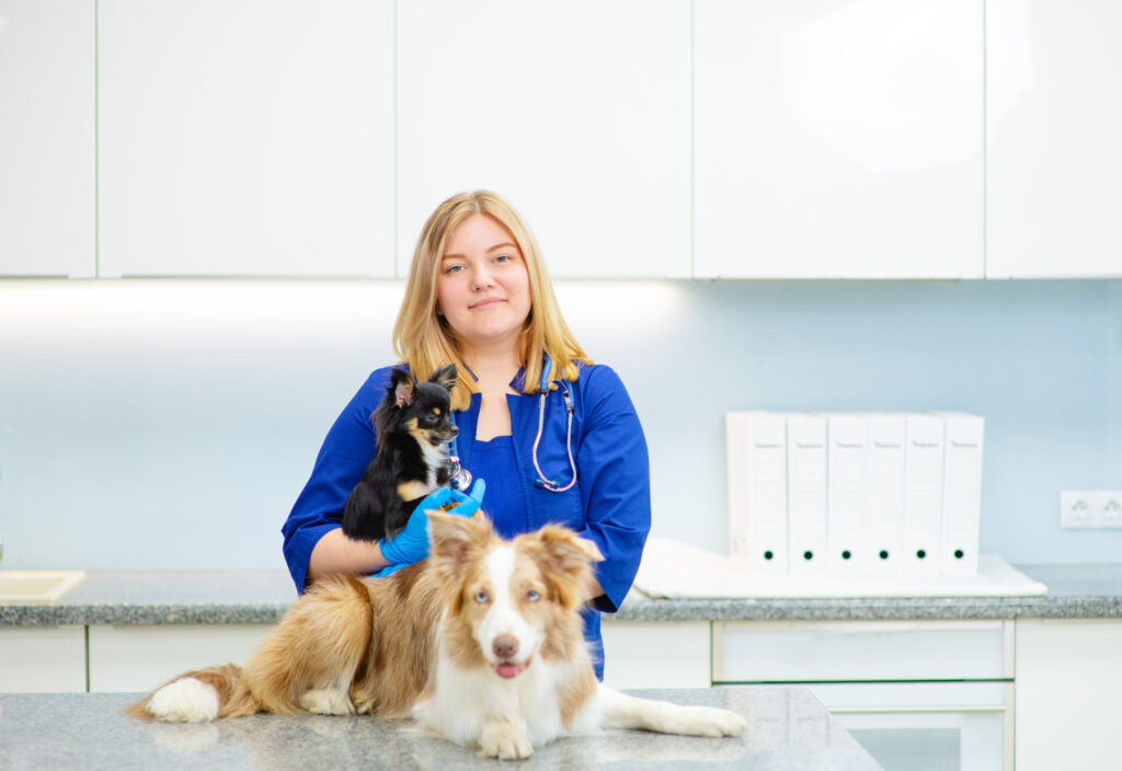 Cirurgia de Pequenos Animais – Campus Interlagos