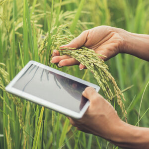 Novas Tecnologias do Agronegócio